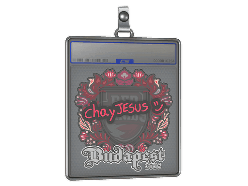 chayJESUS CS2 Sticker