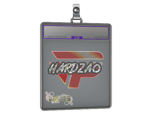 hardzao (Glitter) CS2 Sticker