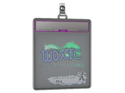 woxic (Holo) CS2 Sticker