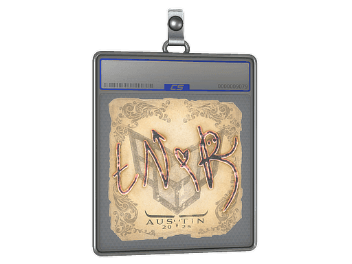 tN1R CS2 Sticker