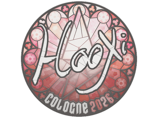 HooXi CS2 Sticker