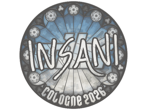 insani CS2 Sticker
