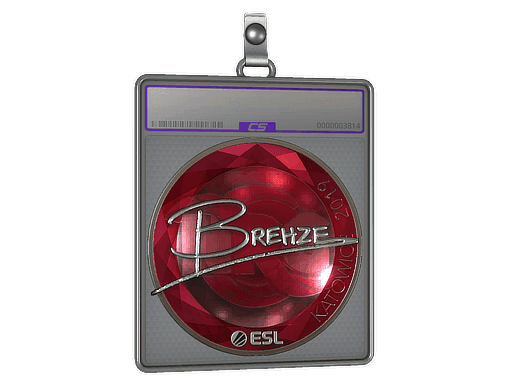 Brehze (Foil) CS2 Sticker
