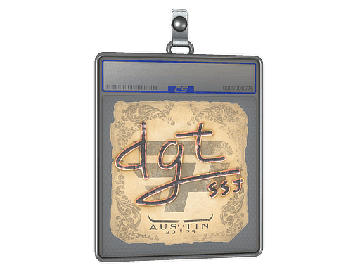 dgt CS2 Sticker