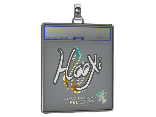 HooXi CS2 Sticker