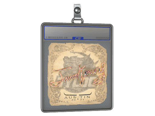 JamYoung CS2 Sticker