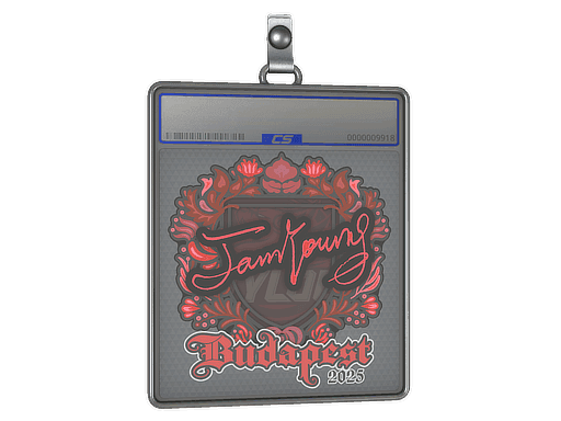 JamYoung CS2 Sticker