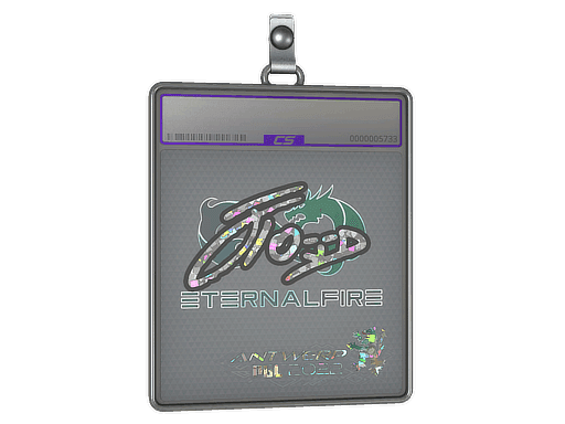 xfl0ud (Glitter) CS2 Sticker