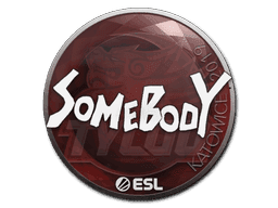 somebody CS2 Sticker