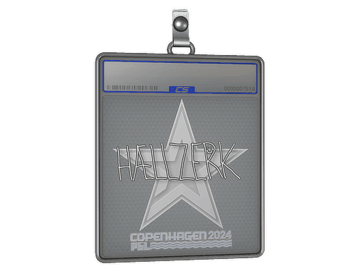 hallzerk CS2 Sticker