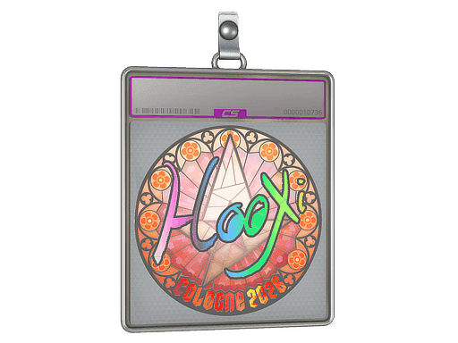 HooXi (Holo) CS2 Sticker