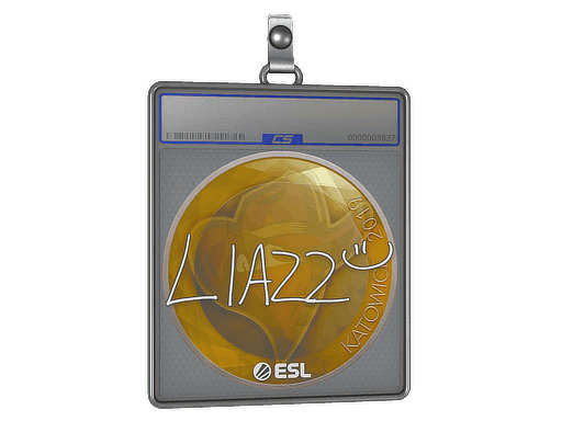 Liazz CS2 Sticker