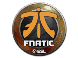 Fnatic CS2 Sticker