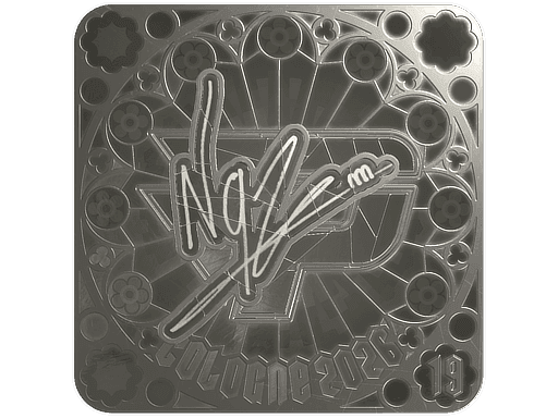 NQZ (Foil, Ranked) CS2 Sticker
