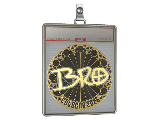 br0 (Gold) CS2 Sticker