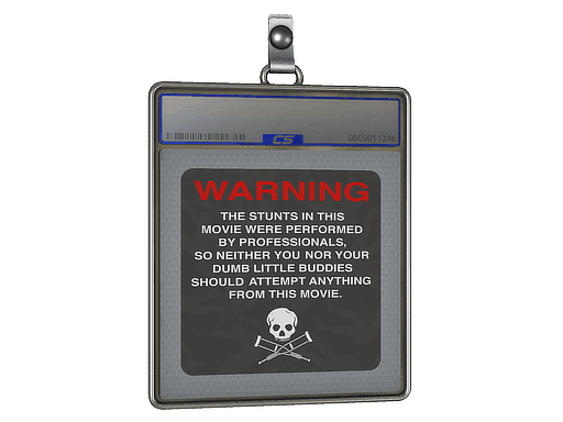 WARNING CS2 Sticker