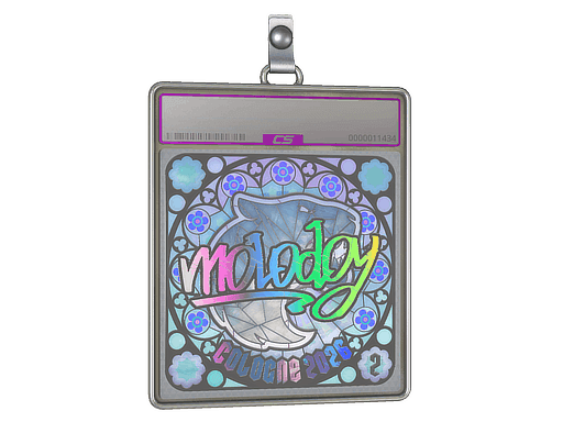 molodoy (Holo, Ranked) CS2 Sticker