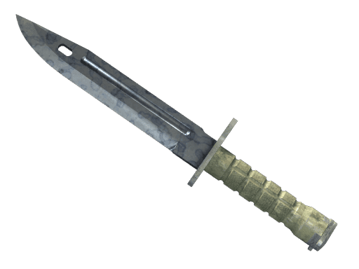 Bayonet Stained (Factory New)