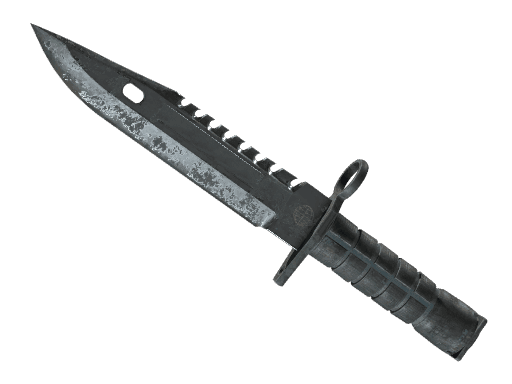 Night | M9 Bayonet CS2 Skin