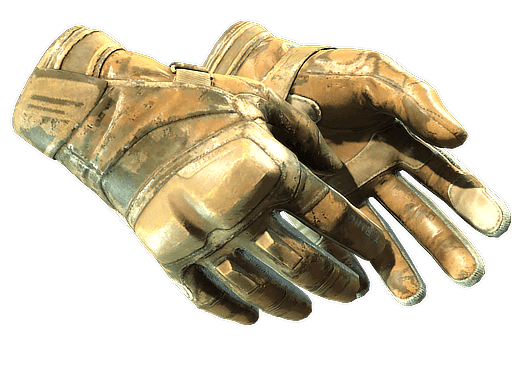Transport | Moto Gloves CS2 Skin