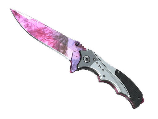 Nomad Knife | Doppler Phase 2 CS2 Skin