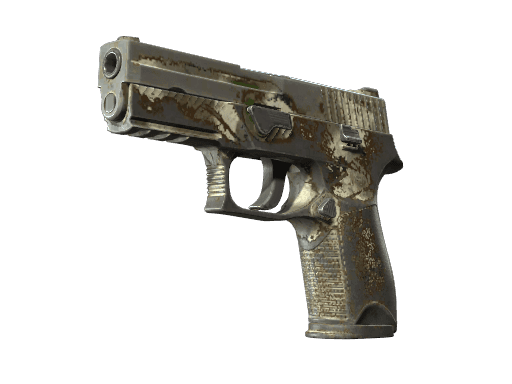 P250 | Bone Mask CS2 Skin