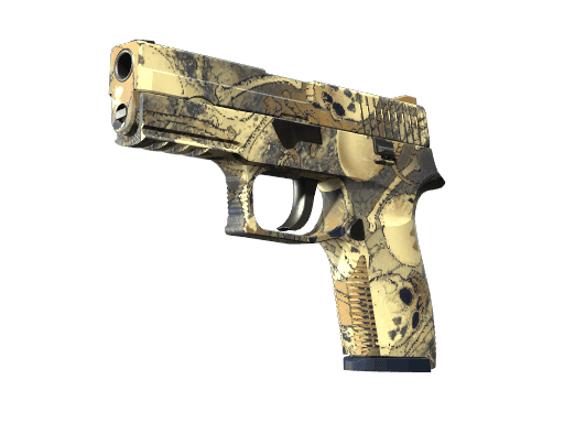P250 | Contamination CS2 Skin
