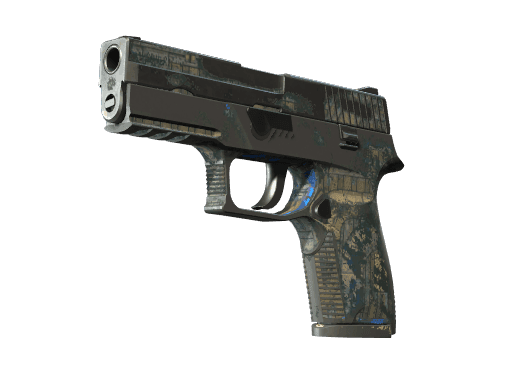 P250 | Exchanger CS2 Skin