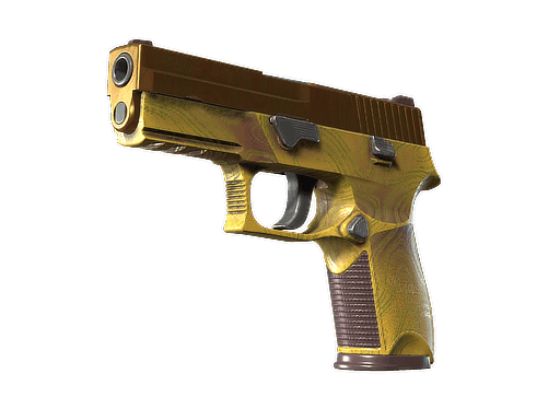 P250 | Sedimentary CS2 Skin
