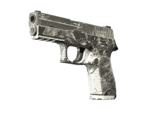 P250 Sleet (Battle Scarred)