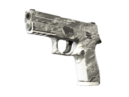 P250 Sleet (Well-Worn)
