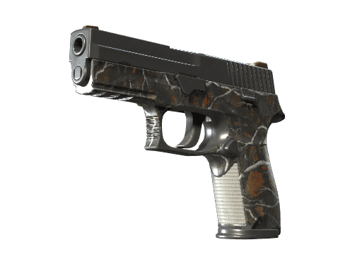 P250 Small Game (Well-Worn)