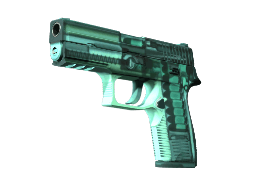 P250 | X-Ray CS2 Skin