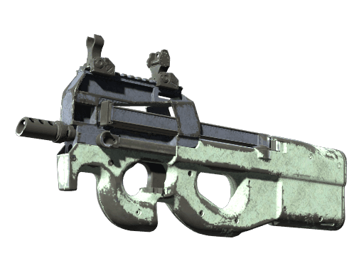 P90 | Storm CS2 Skin