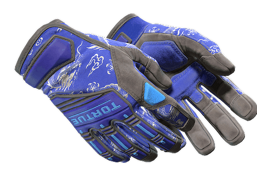 Specialist Gloves Cloud Chaser (Well-Worn)
