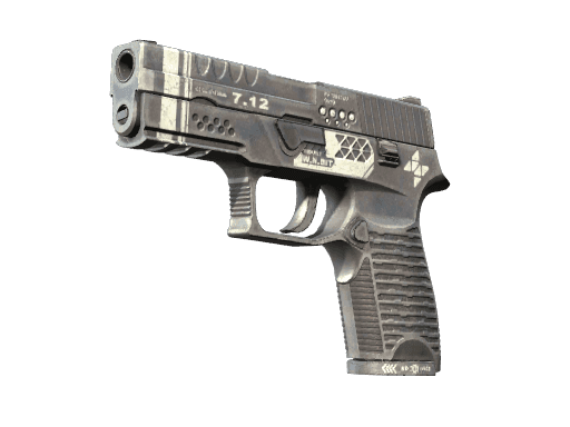 P250 Re.built (StatTrak Minimal Wear)