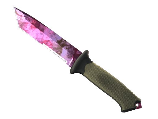 Ursus Knife | Doppler Phase 2 CS2 Skin