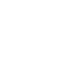 Austin 2025 All CS2 Stickers