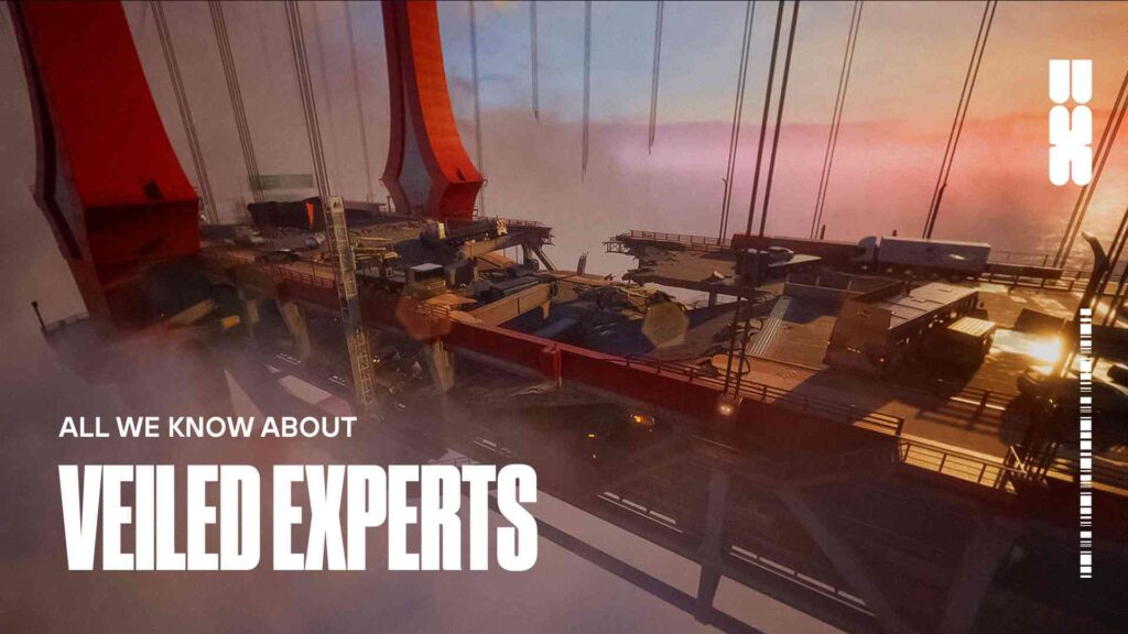 What Do We Know About Veiled Experts?