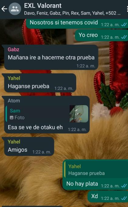 Screenshot showing part of a What's App conversation between BandiCoot and E-XOLOS LAZER